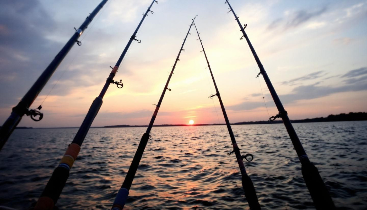 Come scegliere la canna da pesca perfetta per ogni tipo di pesca?